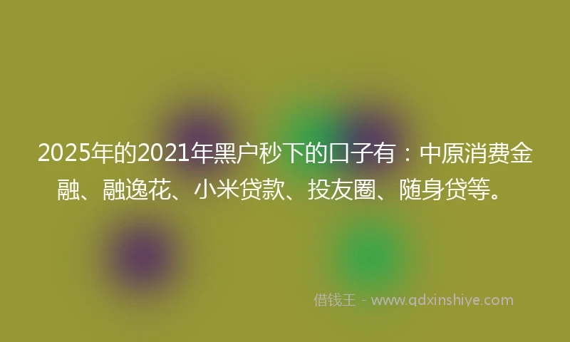 2025年的2021年黑户秒下的口子有：中原消费金融、融逸花、小米贷款、投友圈、随身贷等。