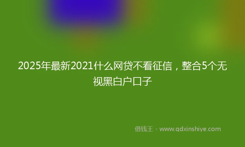 2025年最新2021什么网贷不看征信，整合5个无视黑白户口子