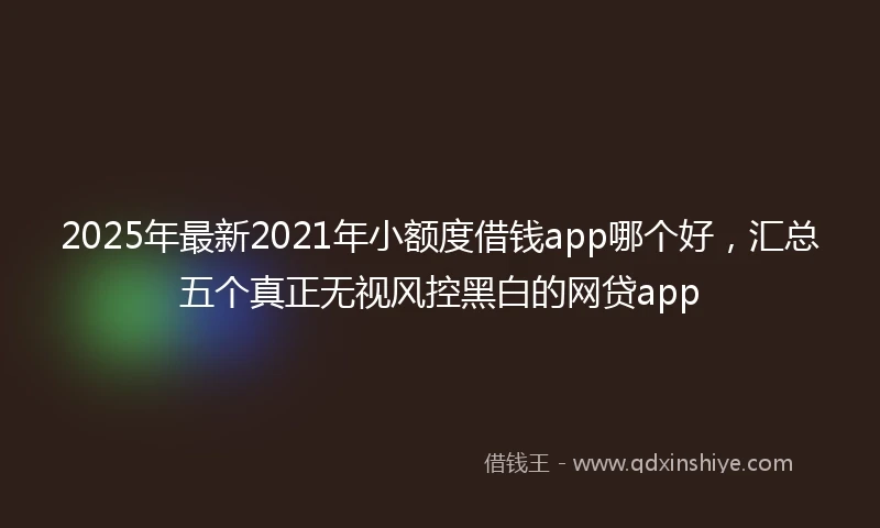 2025年最新2021年小额度借钱app哪个好，汇总五个真正无视风控黑白的网贷app