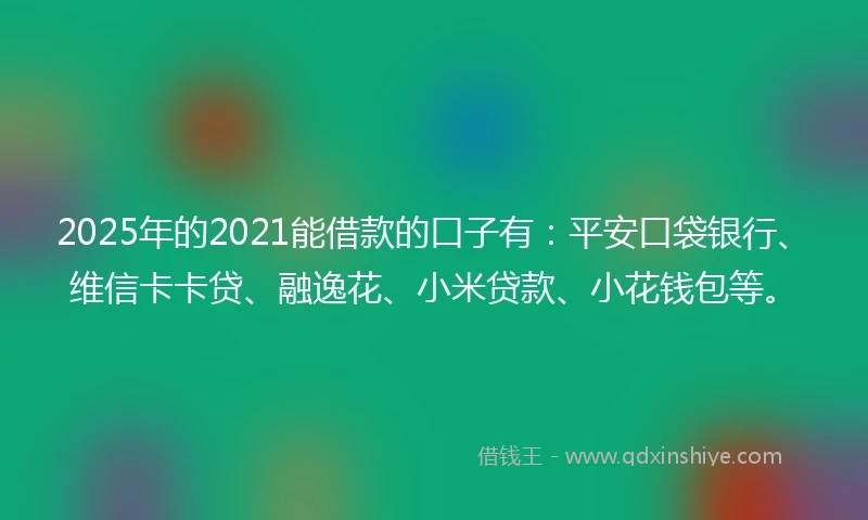 2025年的2021能借款的口子有：平安口袋银行、维信卡卡贷、融逸花、小米贷款、小花钱包等。