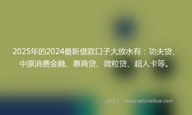 2025年的2024最新借款口子大放水有：功夫贷、中原消费金融、惠商贷、微粒贷、超人卡等。