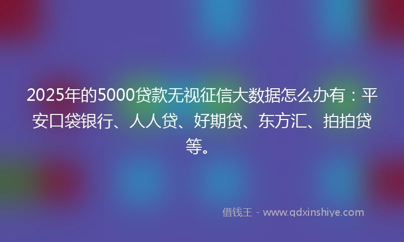 2025年的5000贷款无视征信大数据怎么办有：平安口袋银行、人人贷、好期贷、东方汇、拍拍贷等。