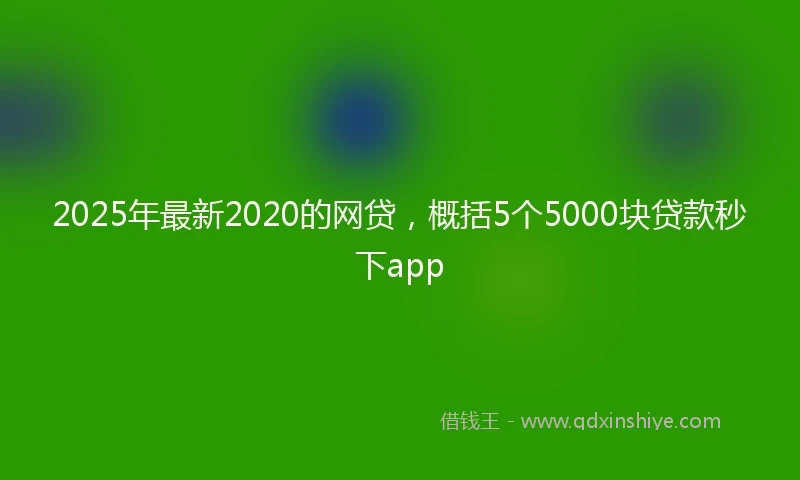 2025年最新2020的网贷，概括5个5000块贷款秒下app