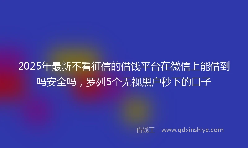 2025年最新不看征信的借钱平台在微信上能借到吗安全吗，罗列5个无视黑户秒下的口子