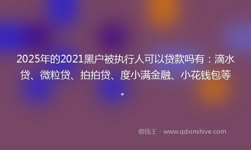2025年的2021黑户被执行人可以贷款吗有：滴水贷、微粒贷、拍拍贷、度小满金融、小花钱包等。
