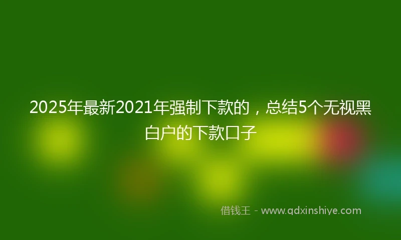 2025年最新2021年强制下款的，总结5个无视黑白户的下款口子