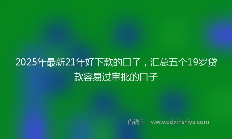 2025年最新21年好下款的口子，汇总五个19岁贷款容易过审批的口子