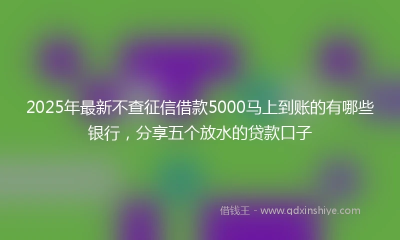 2025年最新不查征信借款5000马上到账的有哪些银行，分享五个放水的贷款口子