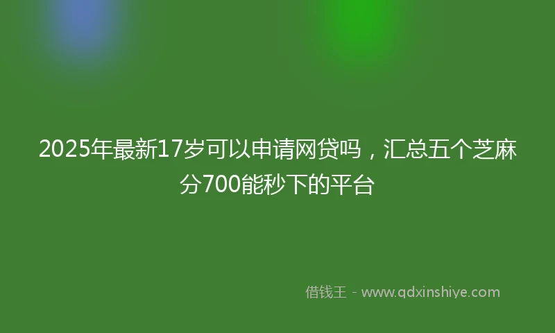 2025年最新17岁可以申请网贷吗，汇总五个芝麻分700能秒下的平台