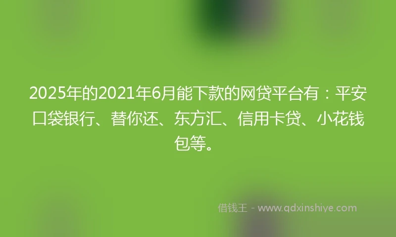 2025年的2021年6月能下款的网贷平台有：平安口袋银行、替你还、东方汇、信用卡贷、小花钱包等。