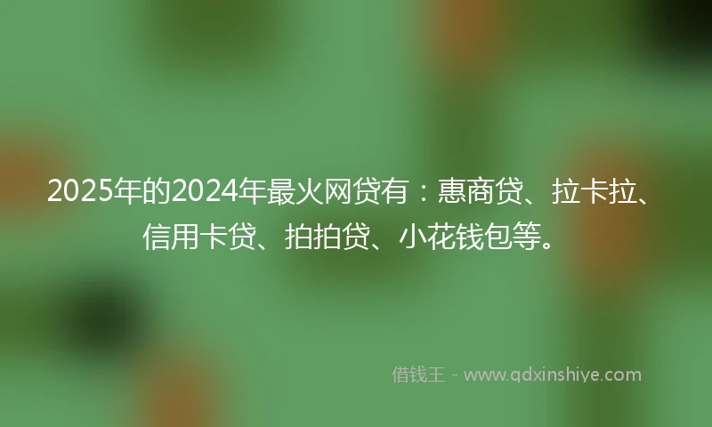 2025年的2024年最火网贷有：惠商贷、拉卡拉、信用卡贷、拍拍贷、小花钱包等。