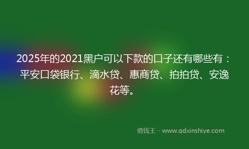 2025年的2021黑户可以下款的口子还有哪些有：平安口袋银行、滴水贷、惠商贷、拍拍贷、安逸花等。