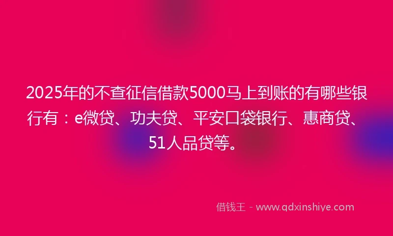2025年的不查征信借款5000马上到账的有哪些银行有：e微贷、功夫贷、平安口袋银行、惠商贷、51人品贷等。