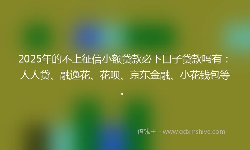 2025年的不上征信小额贷款必下口子贷款吗有：人人贷、融逸花、花呗、京东金融、小花钱包等。