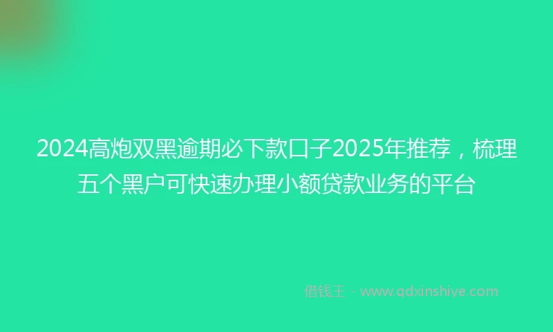 2024高炮双黑逾期必下款口子2025年推荐，梳理五个黑户可快速办理小额贷款业务的平台