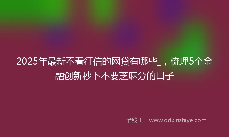 2025年最新不看征信的网贷有哪些_，梳理5个金融创新秒下不要芝麻分的口子