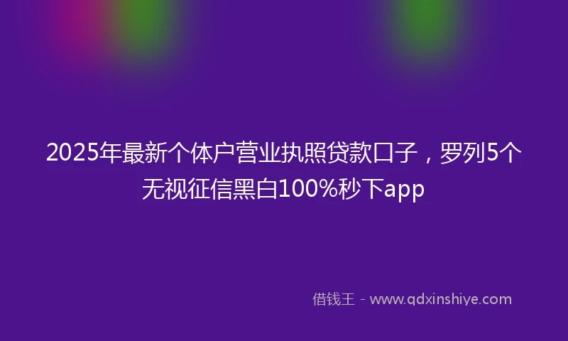 2025年最新个体户营业执照贷款口子，罗列5个无视征信黑白100%秒下app