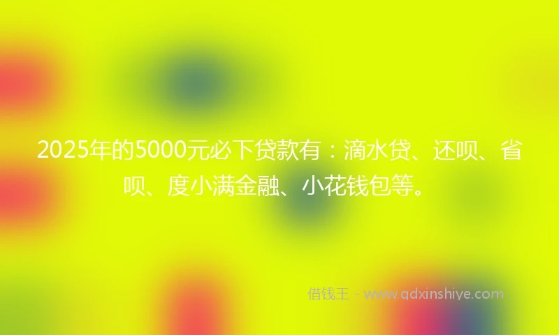 2025年的5000元必下贷款有：滴水贷、还呗、省呗、度小满金融、小花钱包等。
