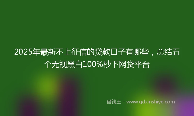 2025年最新不上征信的贷款口子有哪些，总结五个无视黑白100%秒下网贷平台