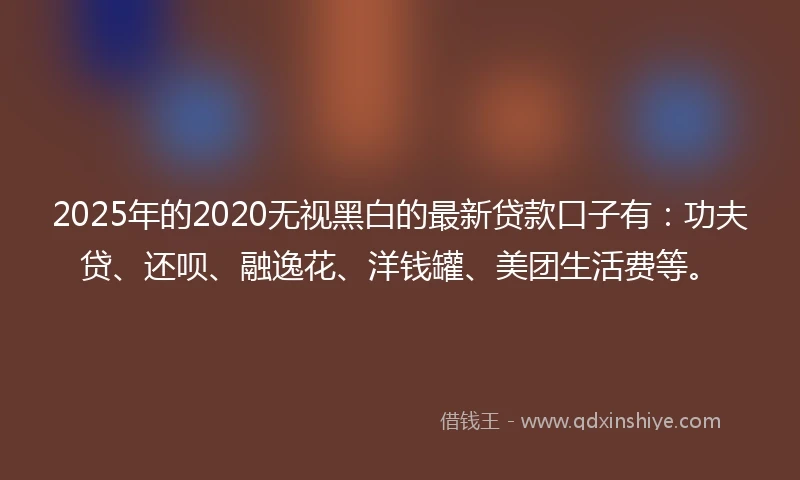 2025年的2020无视黑白的最新贷款口子有：功夫贷、还呗、融逸花、洋钱罐、美团生活费等。