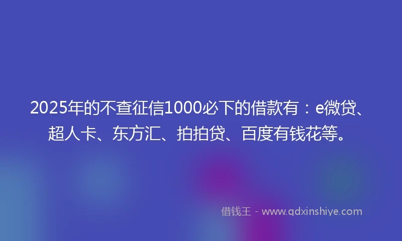 2025年的不查征信1000必下的借款有：e微贷、超人卡、东方汇、拍拍贷、百度有钱花等。