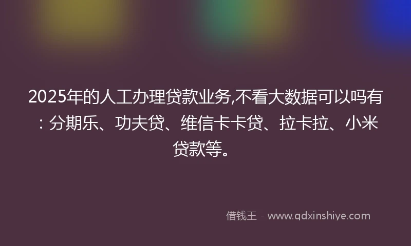 2025年的人工办理贷款业务,不看大数据可以吗有：分期乐、功夫贷、维信卡卡贷、拉卡拉、小米贷款等。