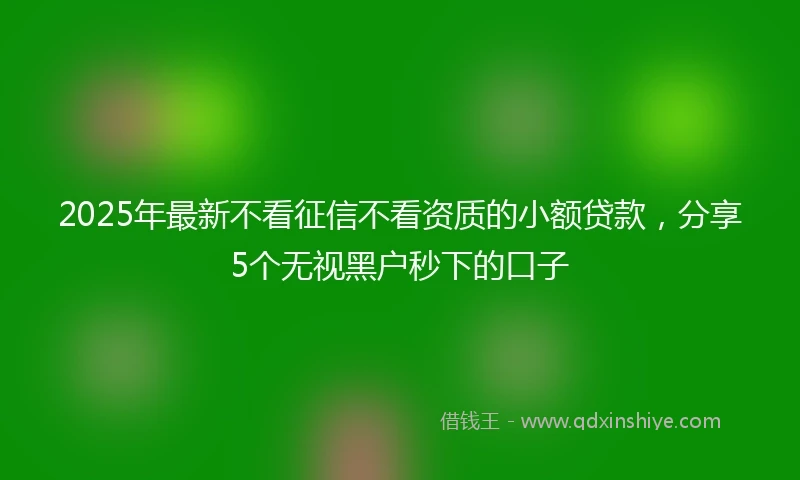 2025年最新不看征信不看资质的小额贷款，分享5个无视黑户秒下的口子
