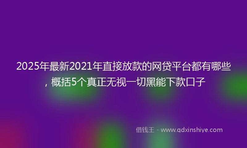 2025年最新2021年直接放款的网贷平台都有哪些，概括5个真正无视一切黑能下款口子
