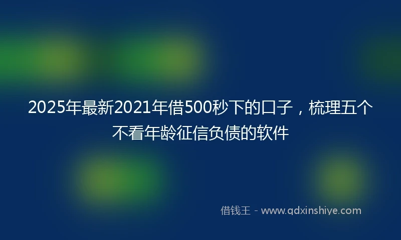 2025年最新2021年借500秒下的口子，梳理五个不看年龄征信负债的软件