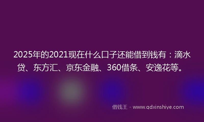 2025年的2021现在什么口子还能借到钱有：滴水贷、东方汇、京东金融、360借条、安逸花等。