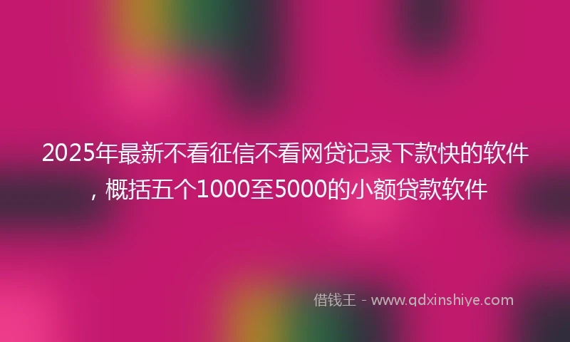 2025年最新不看征信不看网贷记录下款快的软件，概括五个1000至5000的小额贷款软件