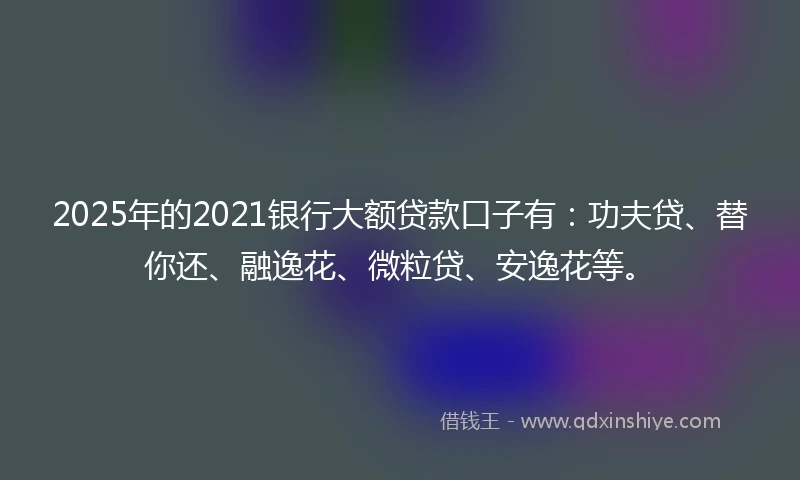2025年的2021银行大额贷款口子有：功夫贷、替你还、融逸花、微粒贷、安逸花等。