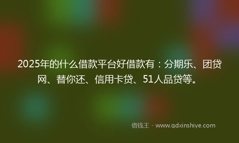 2025年的什么借款平台好借款有：分期乐、团贷网、替你还、信用卡贷、51人品贷等。