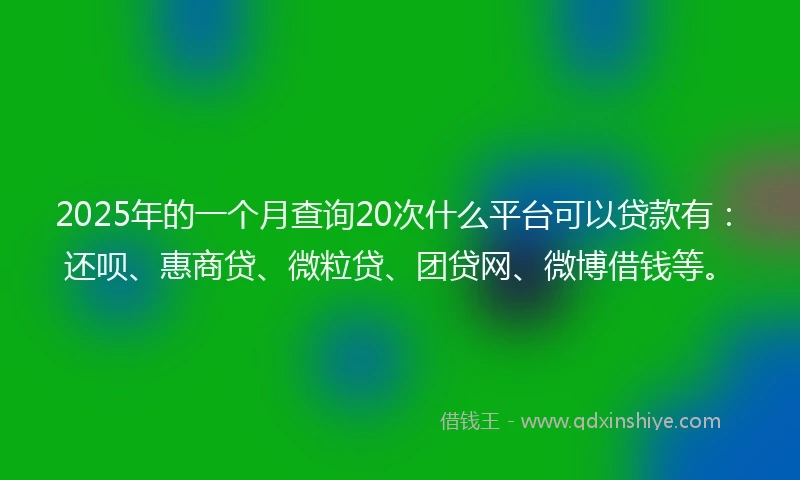 2025年的一个月查询20次什么平台可以贷款有：还呗、惠商贷、微粒贷、团贷网、微博借钱等。