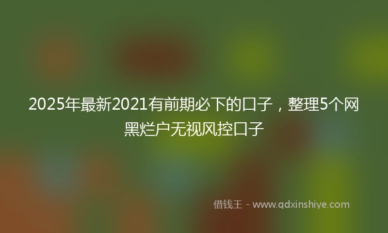 2025年最新2021有前期必下的口子，整理5个网黑烂户无视风控口子