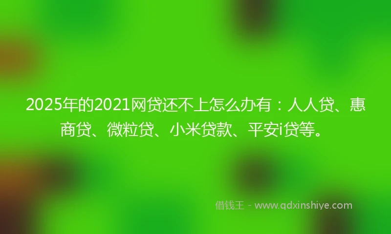 2025年的2021网贷还不上怎么办有：人人贷、惠商贷、微粒贷、小米贷款、平安i贷等。