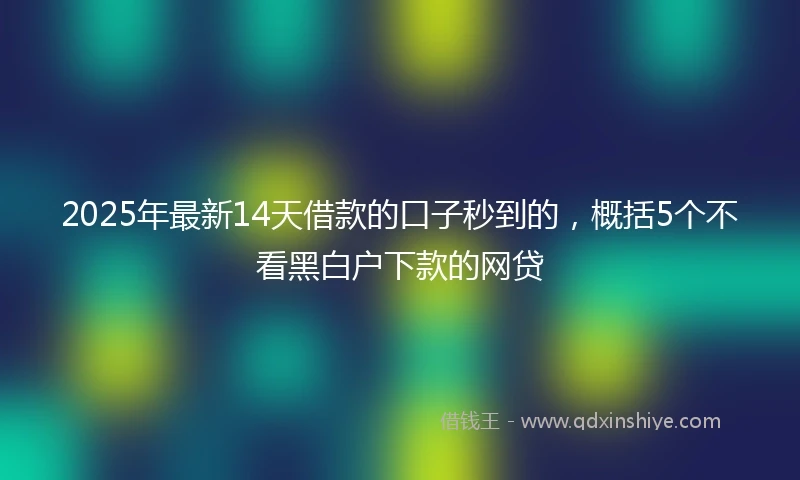2025年最新14天借款的口子秒到的，概括5个不看黑白户下款的网贷