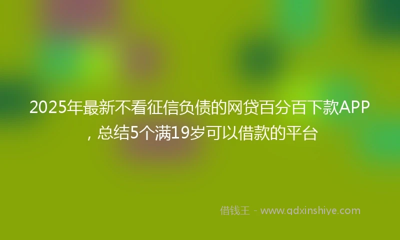 2025年最新不看征信负债的网贷百分百下款APP，总结5个满19岁可以借款的平台