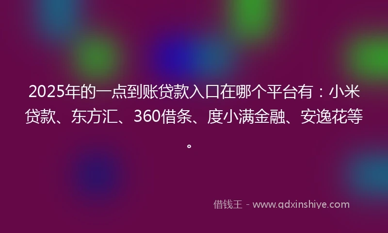 2025年的一点到账贷款入口在哪个平台有：小米贷款、东方汇、360借条、度小满金融、安逸花等。