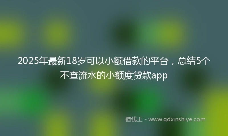 2025年最新18岁可以小额借款的平台，总结5个不查流水的小额度贷款app