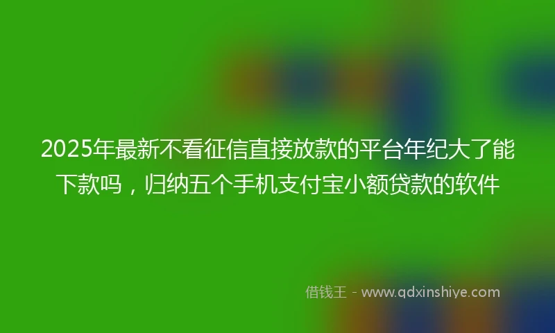2025年最新不看征信直接放款的平台年纪大了能下款吗，归纳五个手机支付宝小额贷款的软件