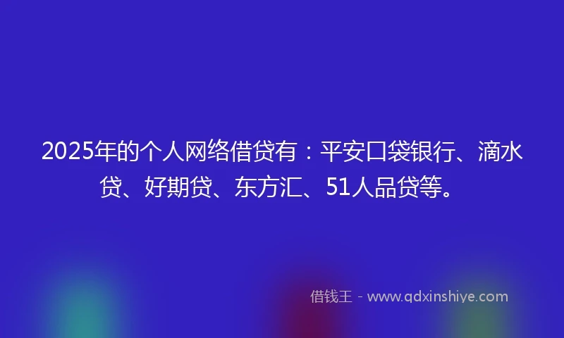 2025年的个人网络借贷有：平安口袋银行、滴水贷、好期贷、东方汇、51人品贷等。