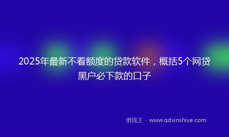 2025年最新不看额度的贷款软件，概括5个网贷黑户必下款的口子