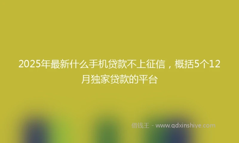 2025年最新什么手机贷款不上征信，概括5个12月独家贷款的平台