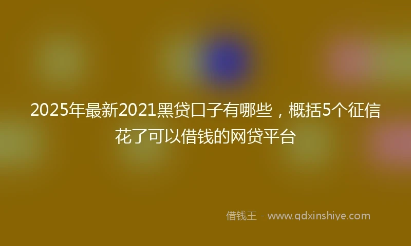 2025年最新2021黑贷口子有哪些，概括5个征信花了可以借钱的网贷平台