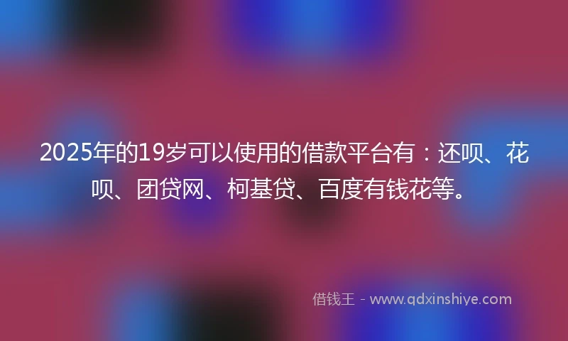2025年的19岁可以使用的借款平台有：还呗、花呗、团贷网、柯基贷、百度有钱花等。