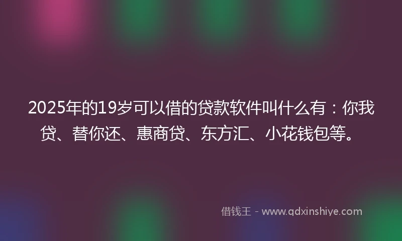 2025年的19岁可以借的贷款软件叫什么有：你我贷、替你还、惠商贷、东方汇、小花钱包等。