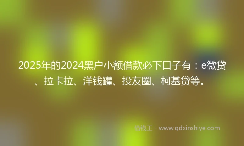 2025年的2024黑户小额借款必下口子有：e微贷、拉卡拉、洋钱罐、投友圈、柯基贷等。