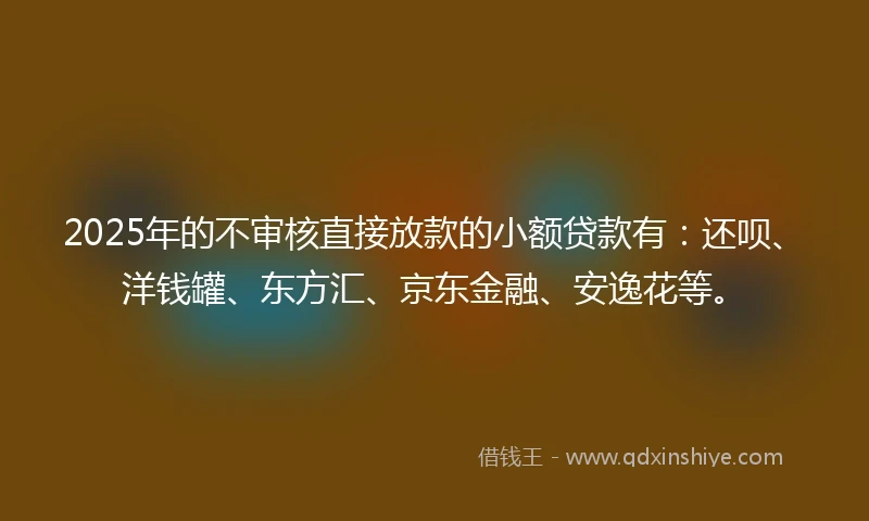 2025年的不审核直接放款的小额贷款有：还呗、洋钱罐、东方汇、京东金融、安逸花等。
