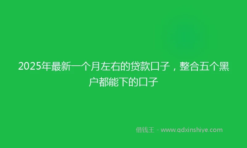 2025年最新一个月左右的贷款口子，整合五个黑户都能下的口子
